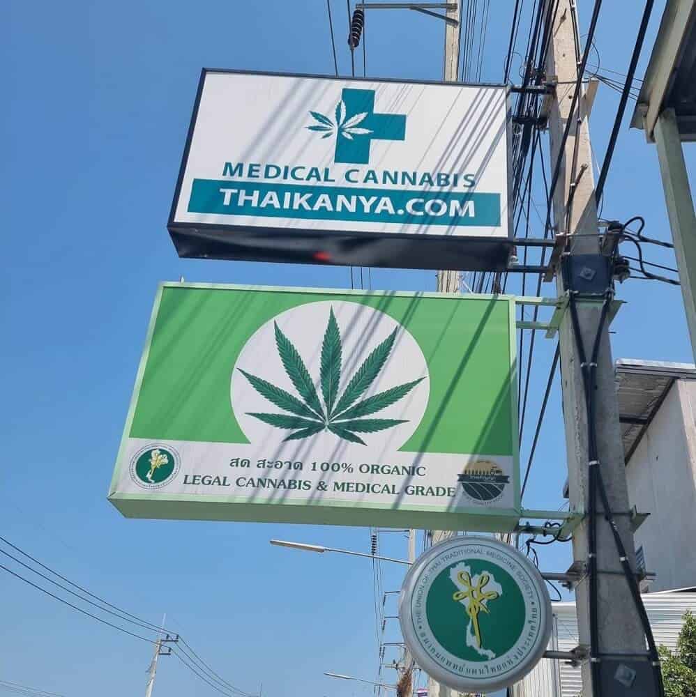 Medical Cannabis in Thailand: An Interview with Dr. Kan Na Nongkhai Founder of ThaiKanya