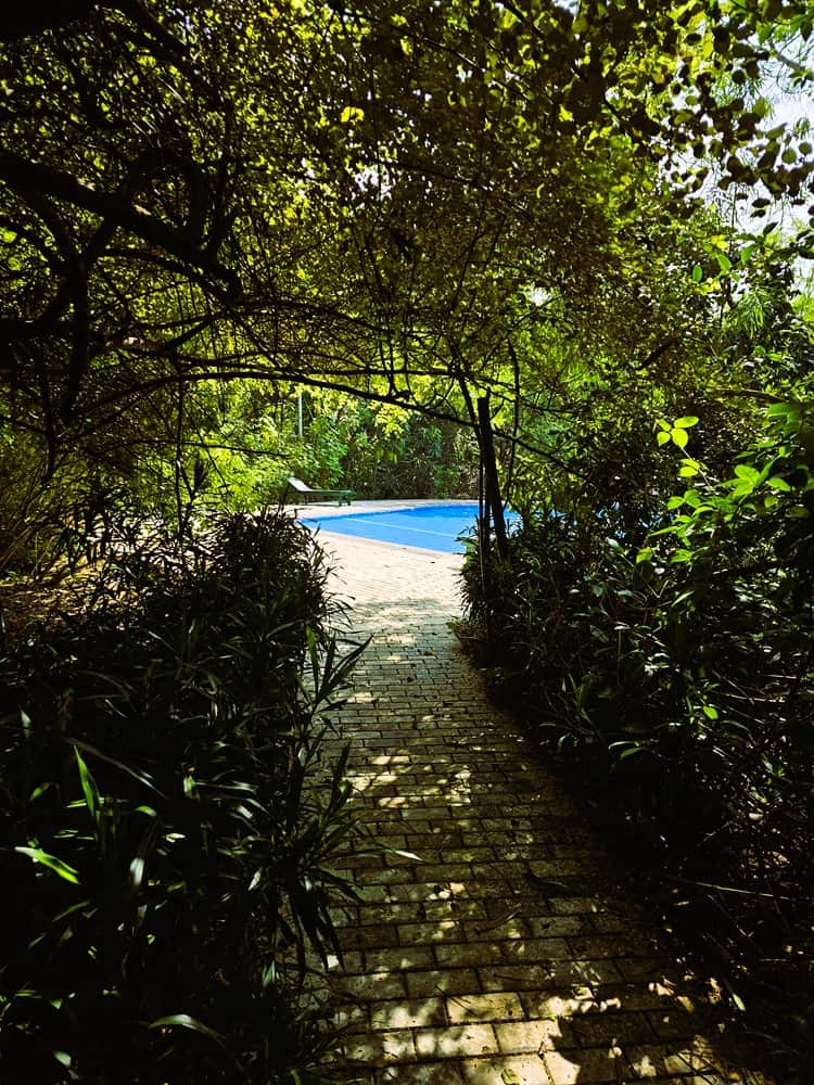 A path leading to the swimming pool at Nature Lanka Ayurvedic Resort