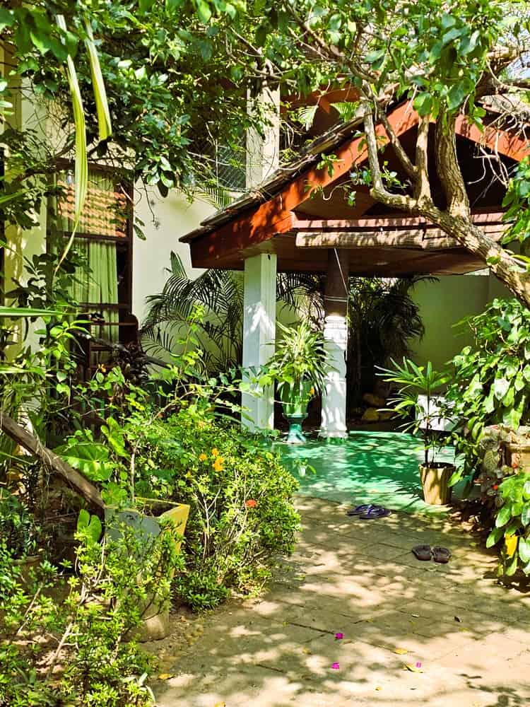 The leafy entrance of nature Lanka Ayurvedic Resort treatment centre 