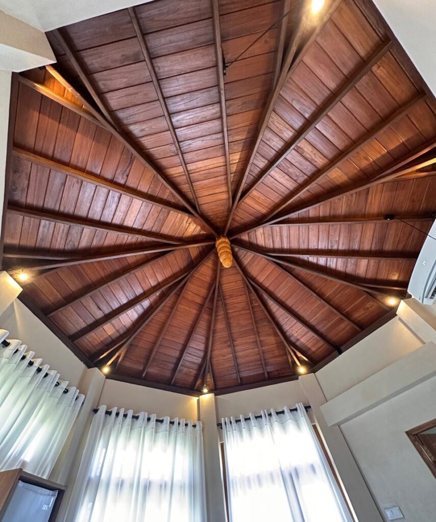 Pure Nature Cabana traditional ceiling