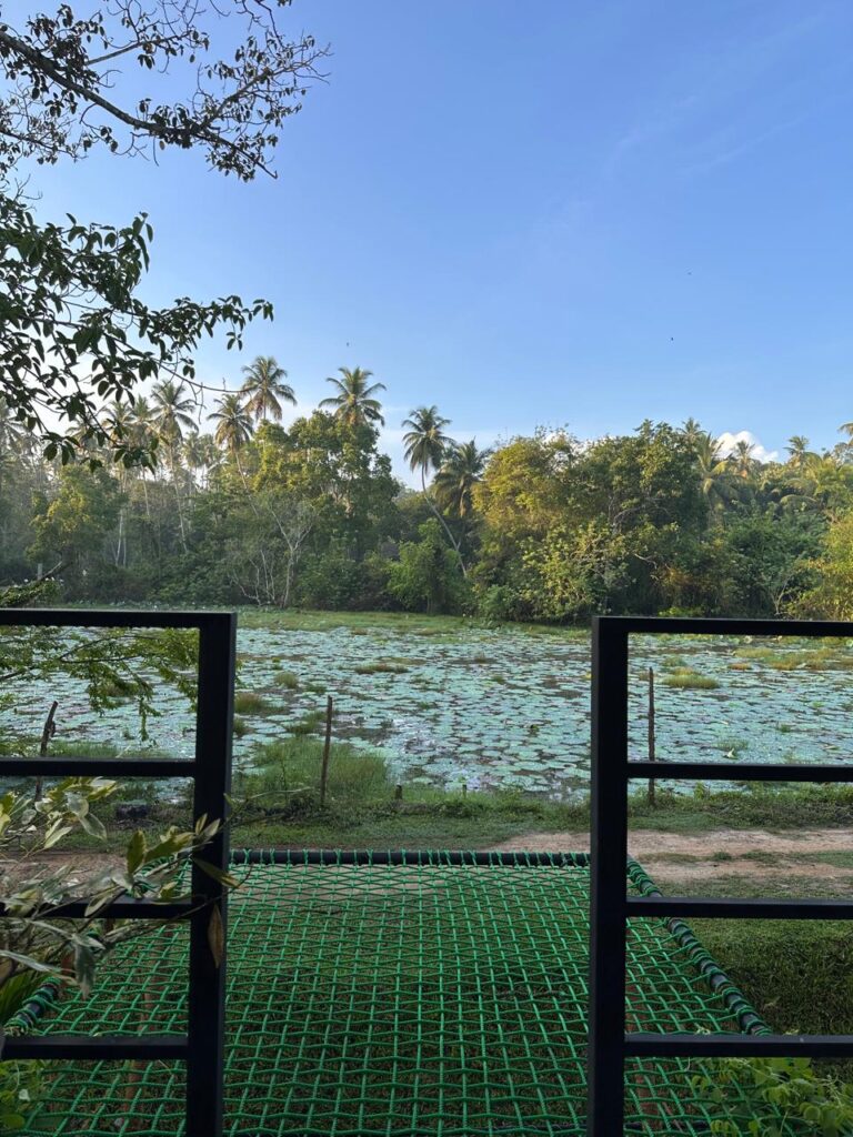 Pure Nature Cabana in Tangalle overlooking the lotus pond