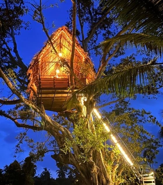 The treehouse at Pure Nature Cabana 