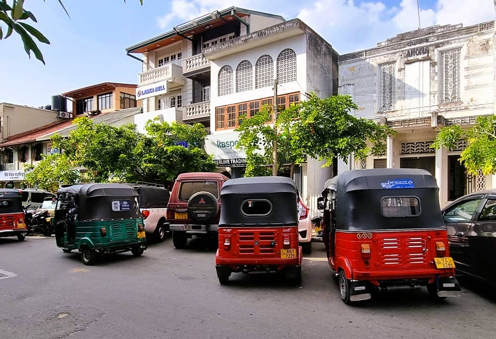 serval red and green tuks tuks
