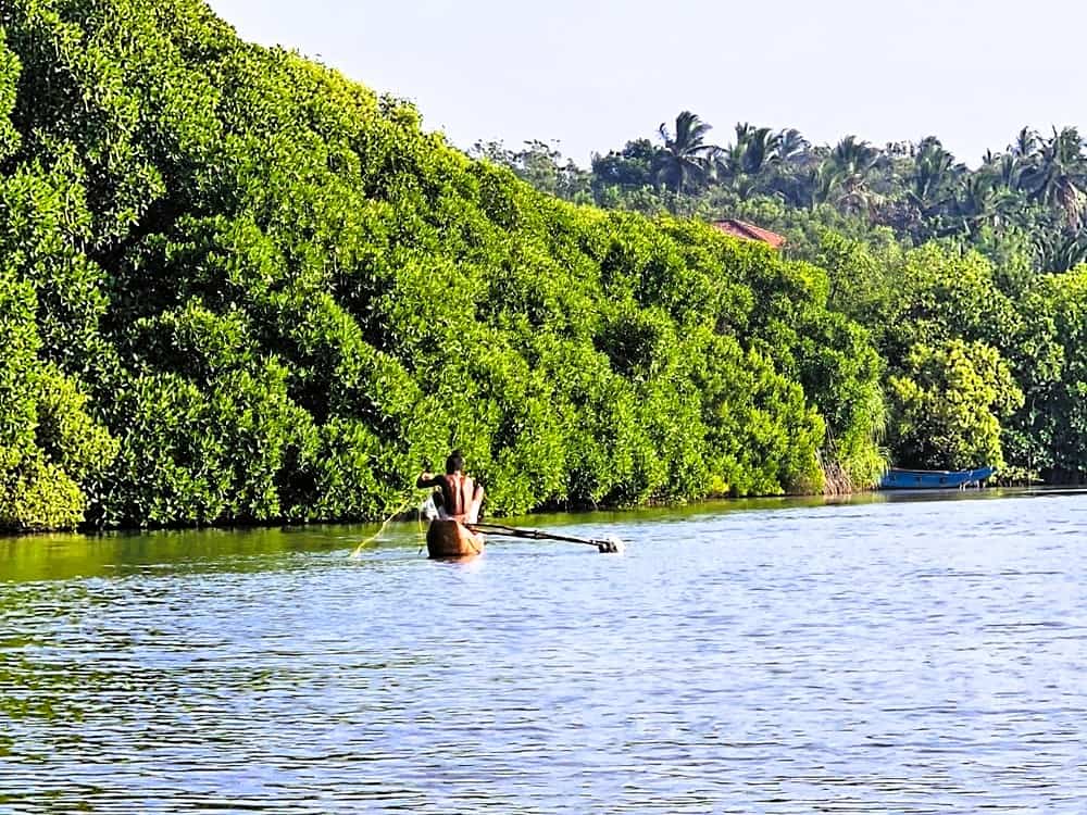 A mangrove lined lagoon with the image of a fisherman in small narrowboat 