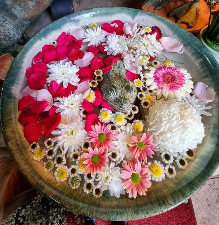 An image of flowers in a bowl