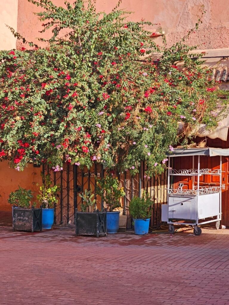 bougainvillea bush trailing next to a cart used for food  