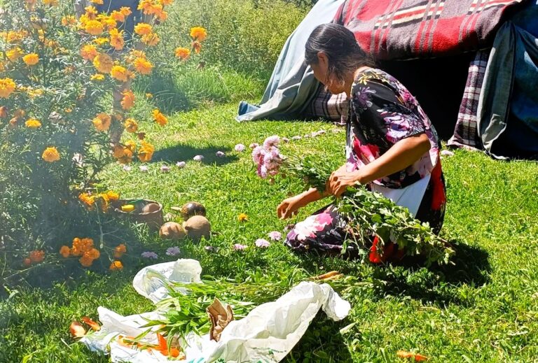 Altavita Women’s Midlife Retreat in Chiapas, Mexico: Medical Wellness for Hormonal Health