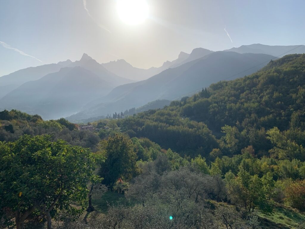 View of olive groves from at Rosmarino Retreats for Midlife Women in Italy 