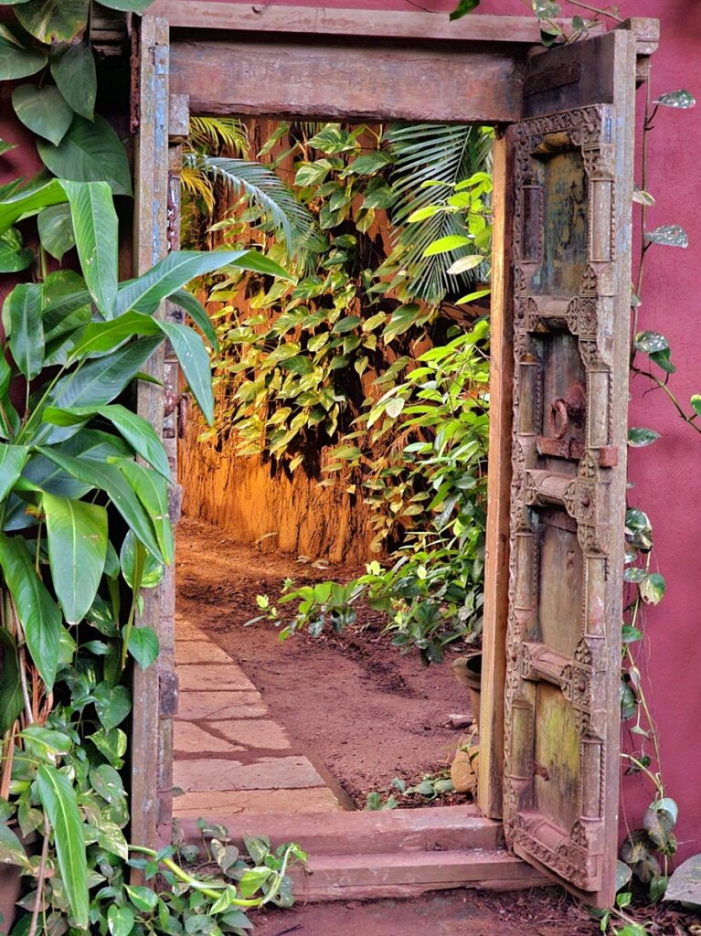 A door way with overhanging leaves at Ashiyana Yoga Retreat, Goa, India