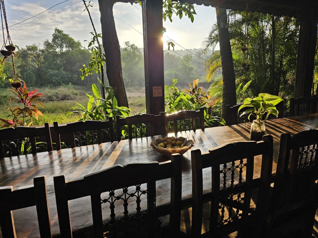 view from dining table at Ashiyana Yoga Retreat, Goa, India 