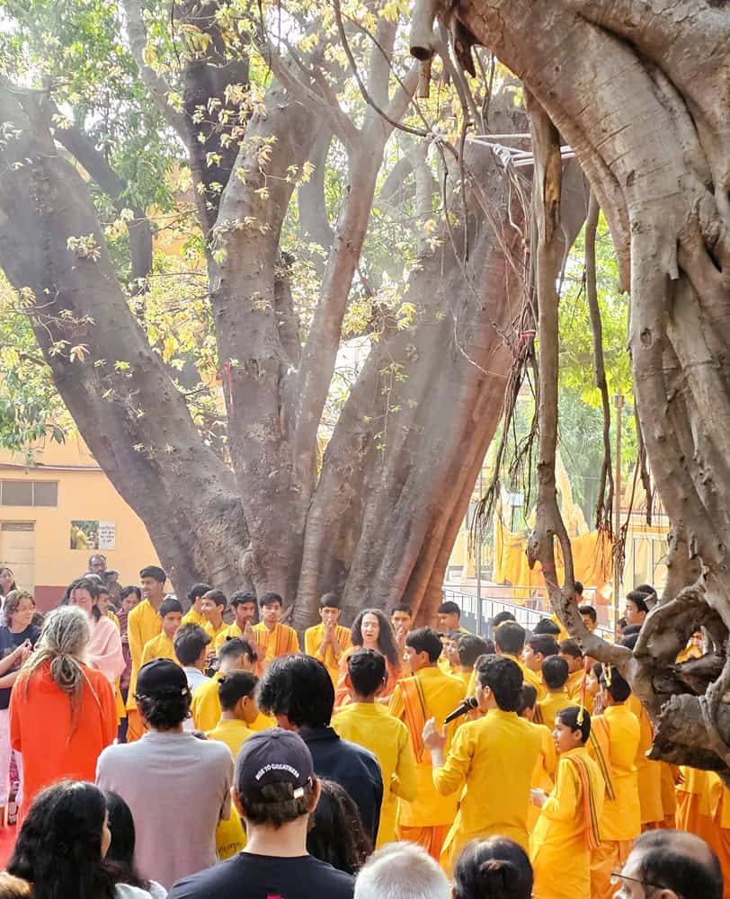 devotees wearing yellow at Parmarth Niketan Ashram