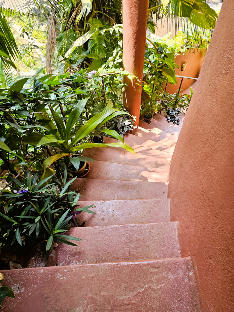 winding pathway and plants at Ashiyana Yoga Retreat in Goa, India 