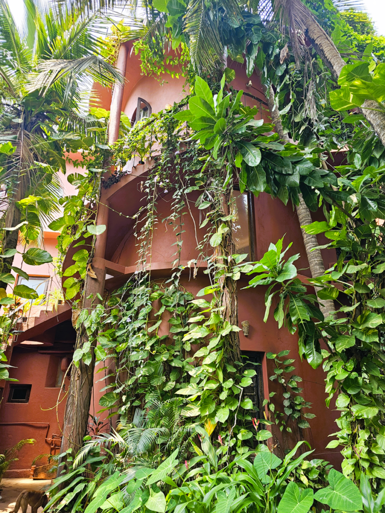 a earth coloured building with trailing plants at Ashiyana Yoga Retreat in Goa, India 