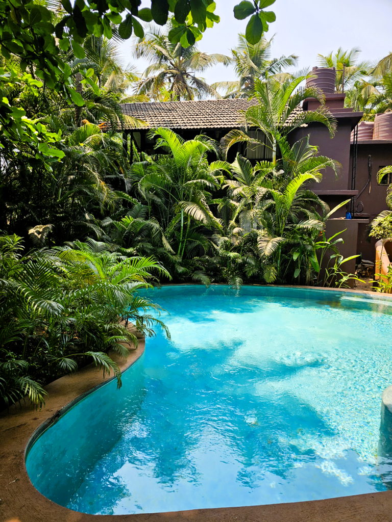 a curvy small pool at Ashiyana Yoga Retreat in Goa, India 