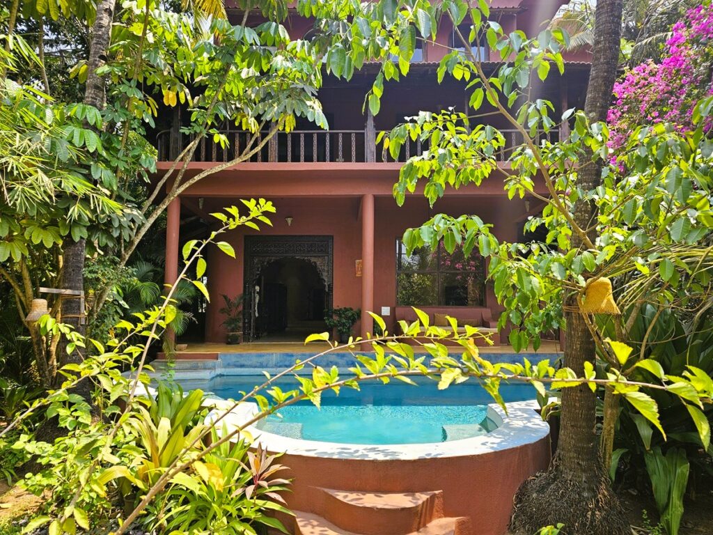 a small pool surrounded by greenery at Ashiyana Yoga Retreat in Goa, India 