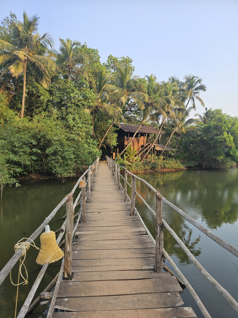 woodern bridge over Mandrem River at Ashiyana Yoga Retreat, Goa, India 