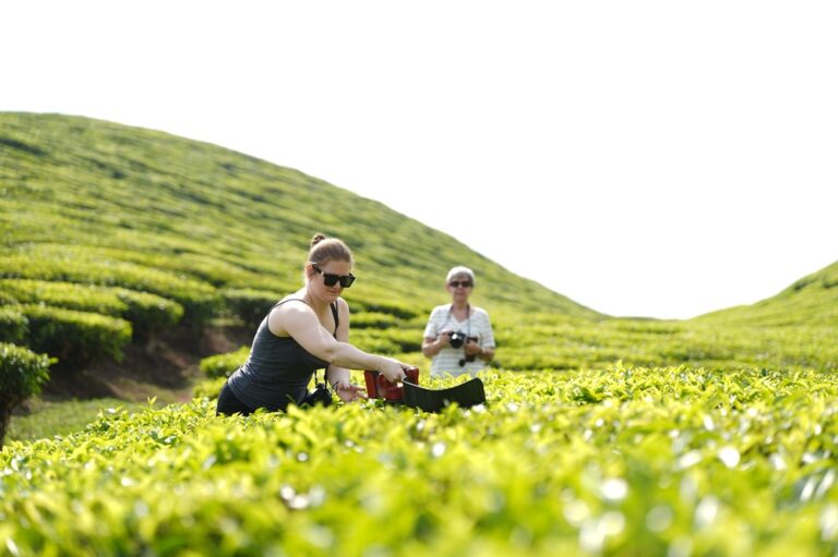 Slow & Cultural Women-Only Tours in India with SheFarer