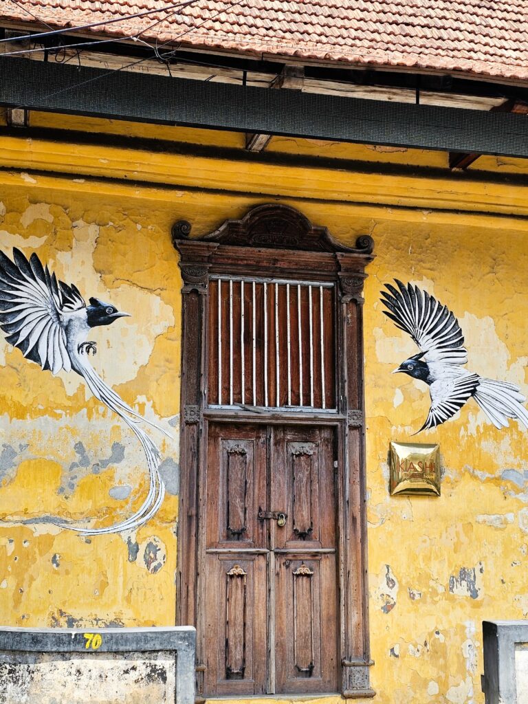 Kochi Solo Travel for Women: A Guide for Midlife Travellers