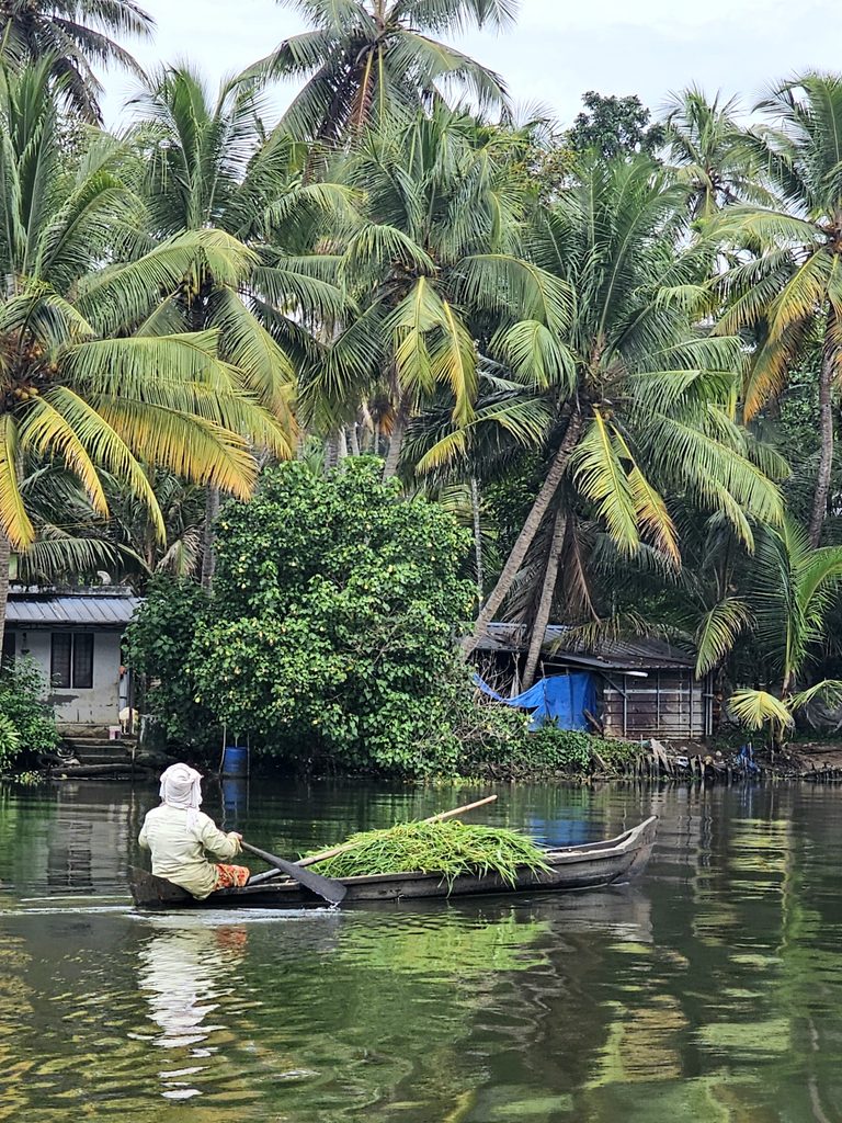 a woman in a small boat, with what looks like a bundle of crops in the main body of the boat