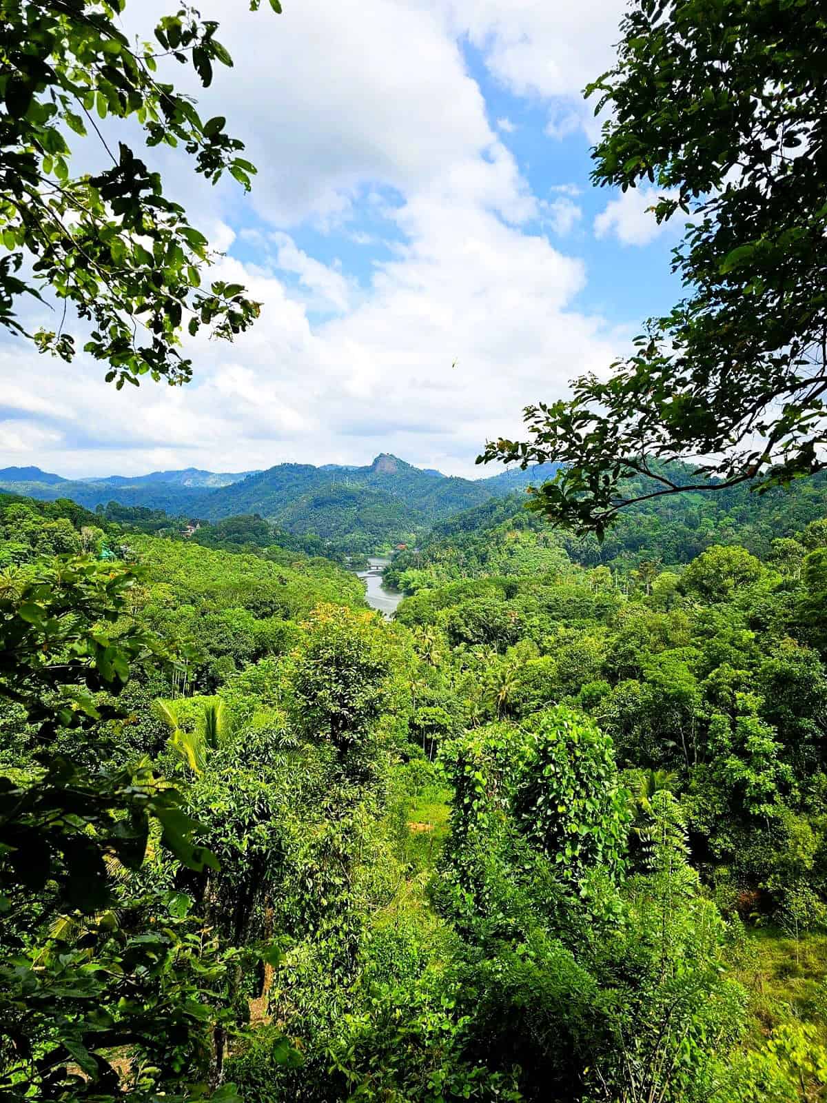 The view of Kallurkutty Dam at Tulsi Village Retreat in Munar