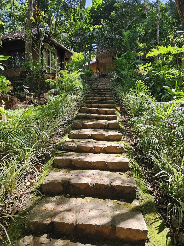 shows some steep steps at Tulsi Village Retreat in Munnar
