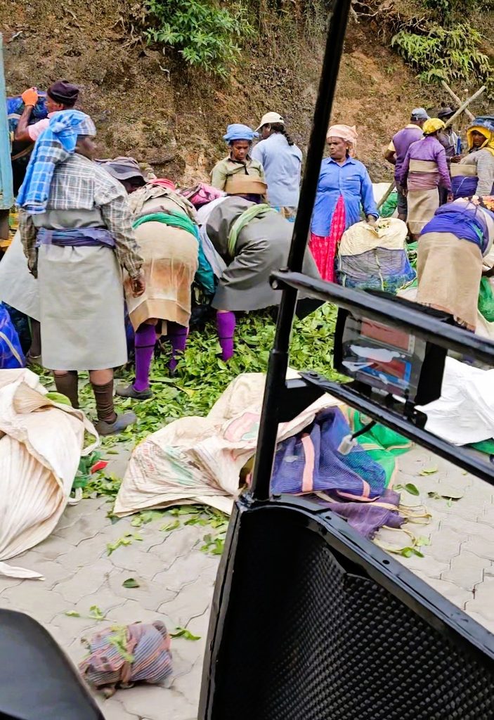 a group of tea pickers with bags of tea