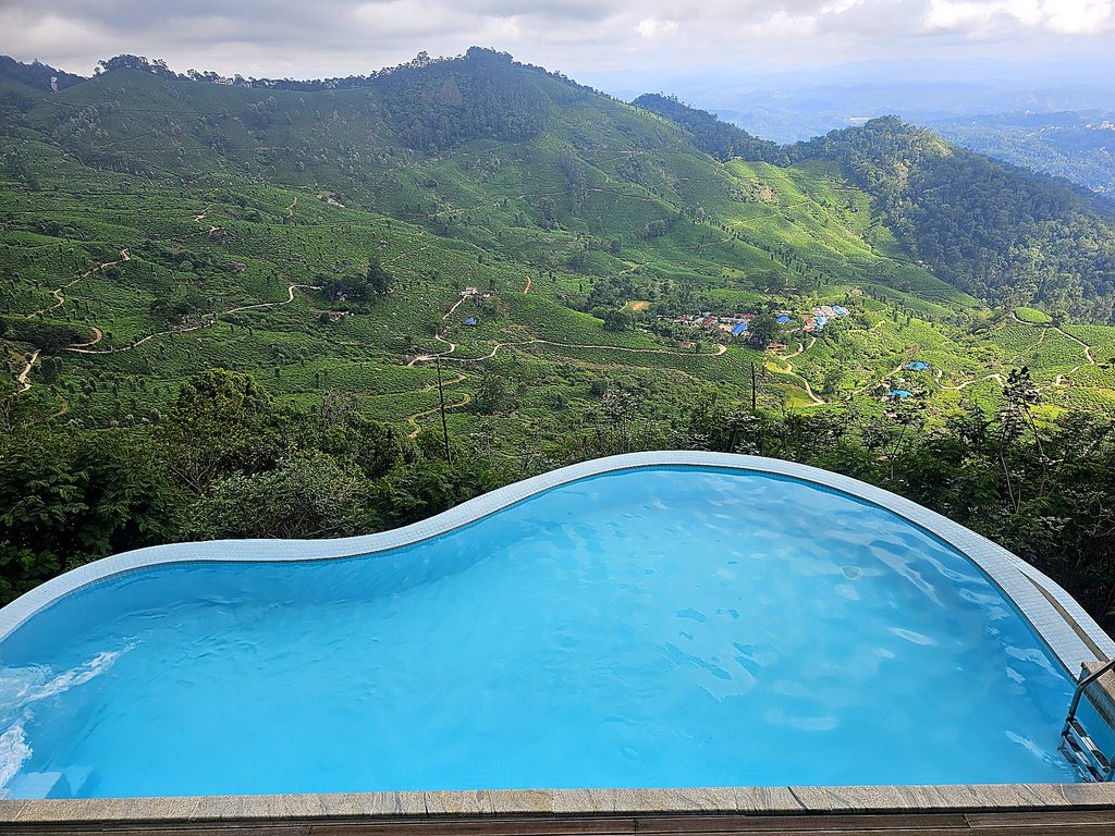 shows the pool jutting out above the tea plantations at Blackberry Hills in Munnar