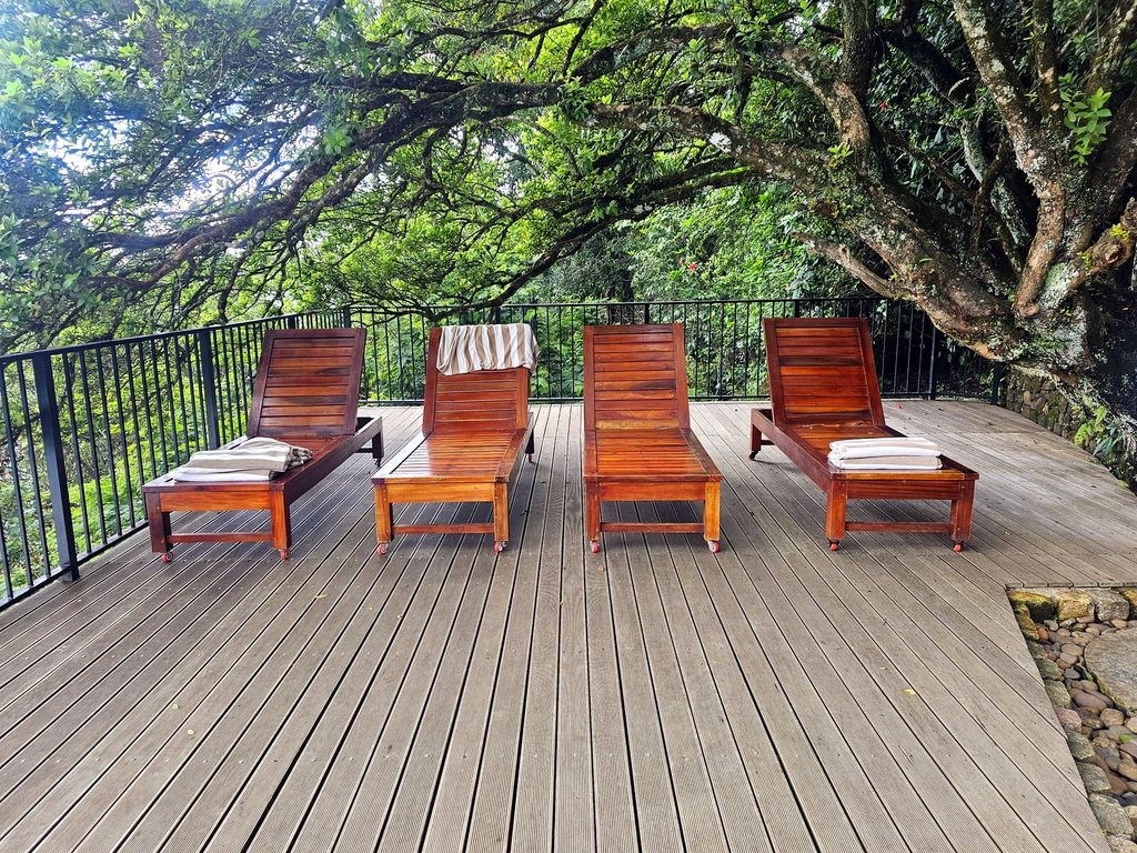 4 sun loungers on a wooden deck
