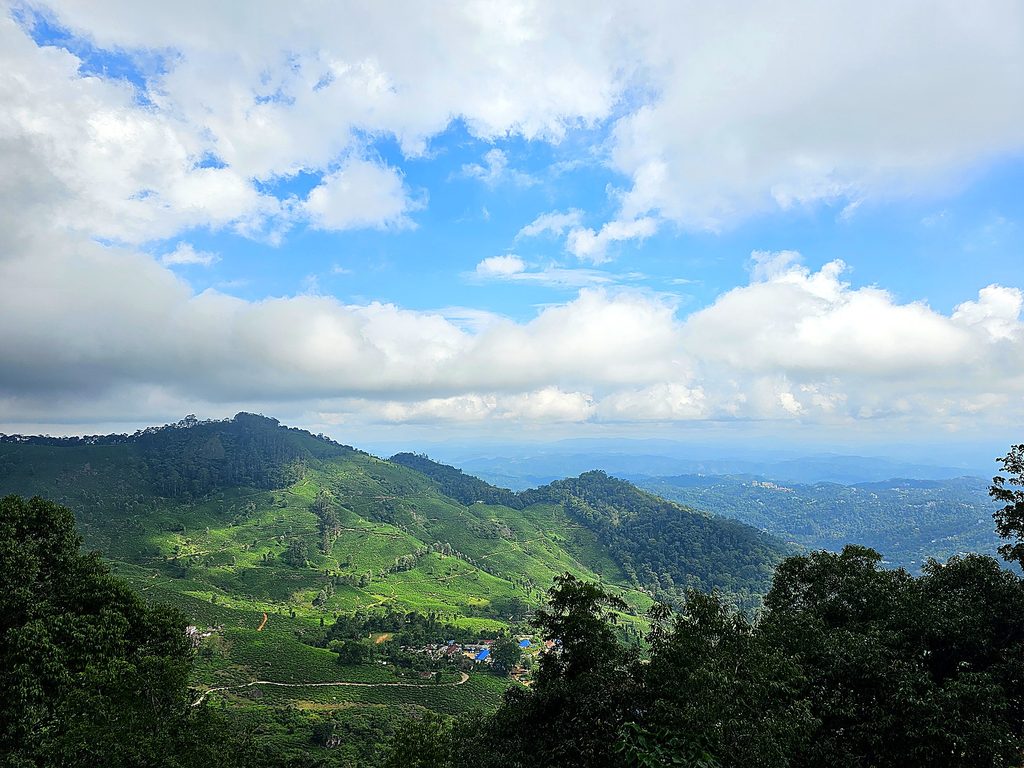 a dramatic view of green hills from Blackberry Hills in Munnar