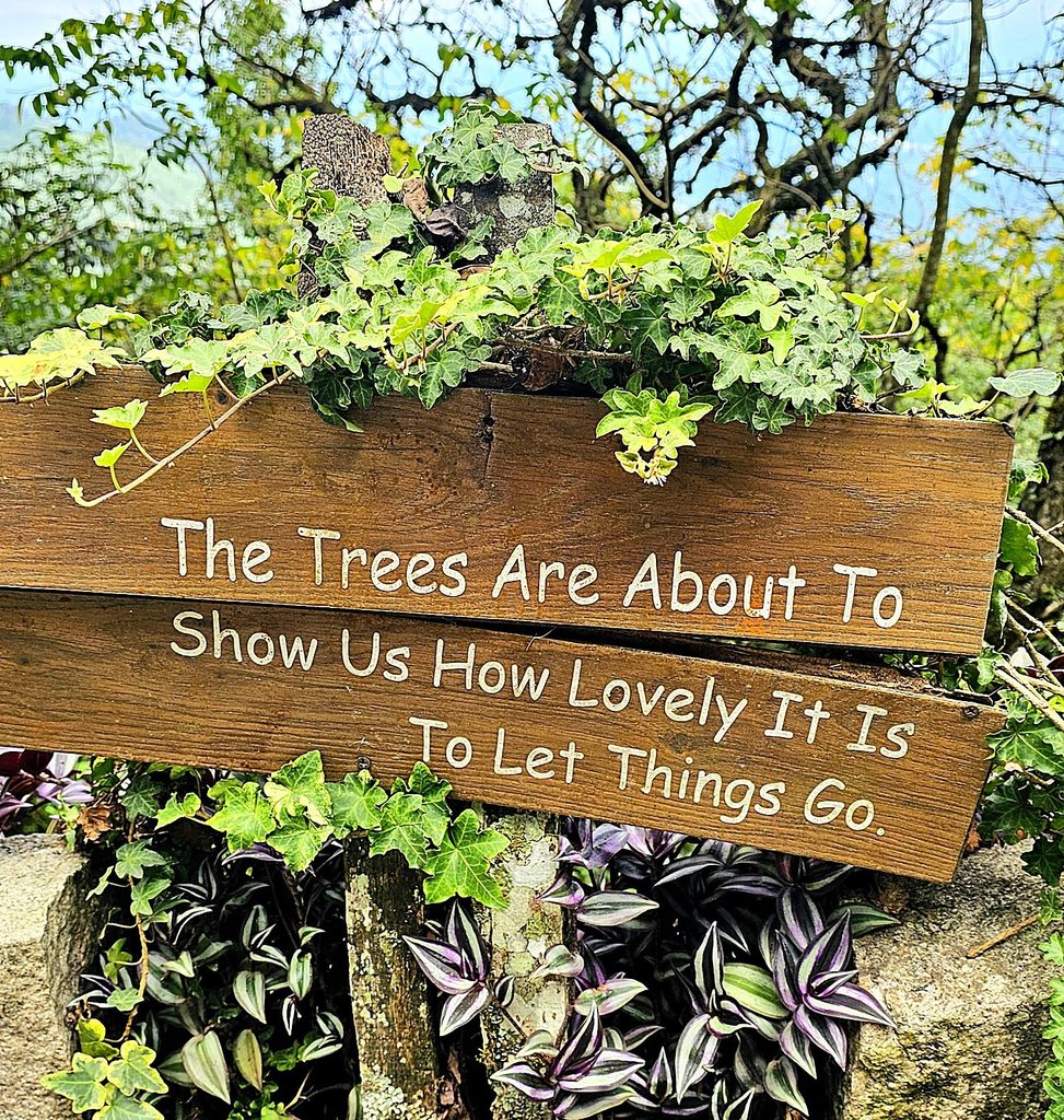 A wooden sign that reads The trees are about to show us how lovely it is to let things go