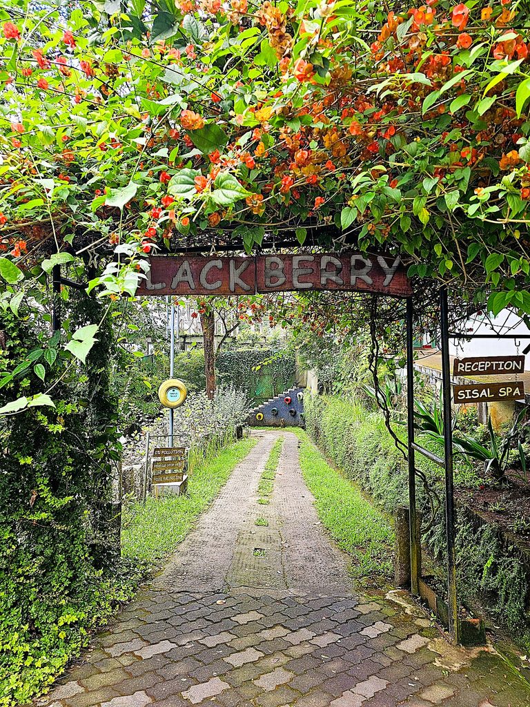 an arched entrance reading Blackberry above it leading down a path with trees each side