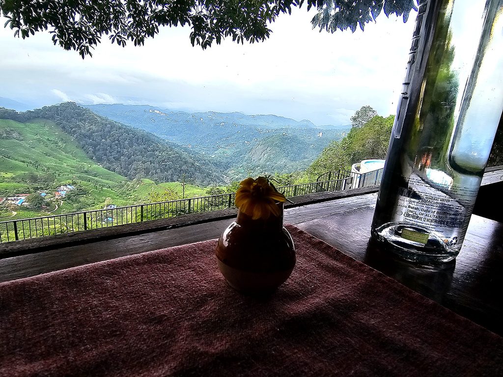 view over tea plantations from the restaurant at Blackberry Hills Hotel in Munnar