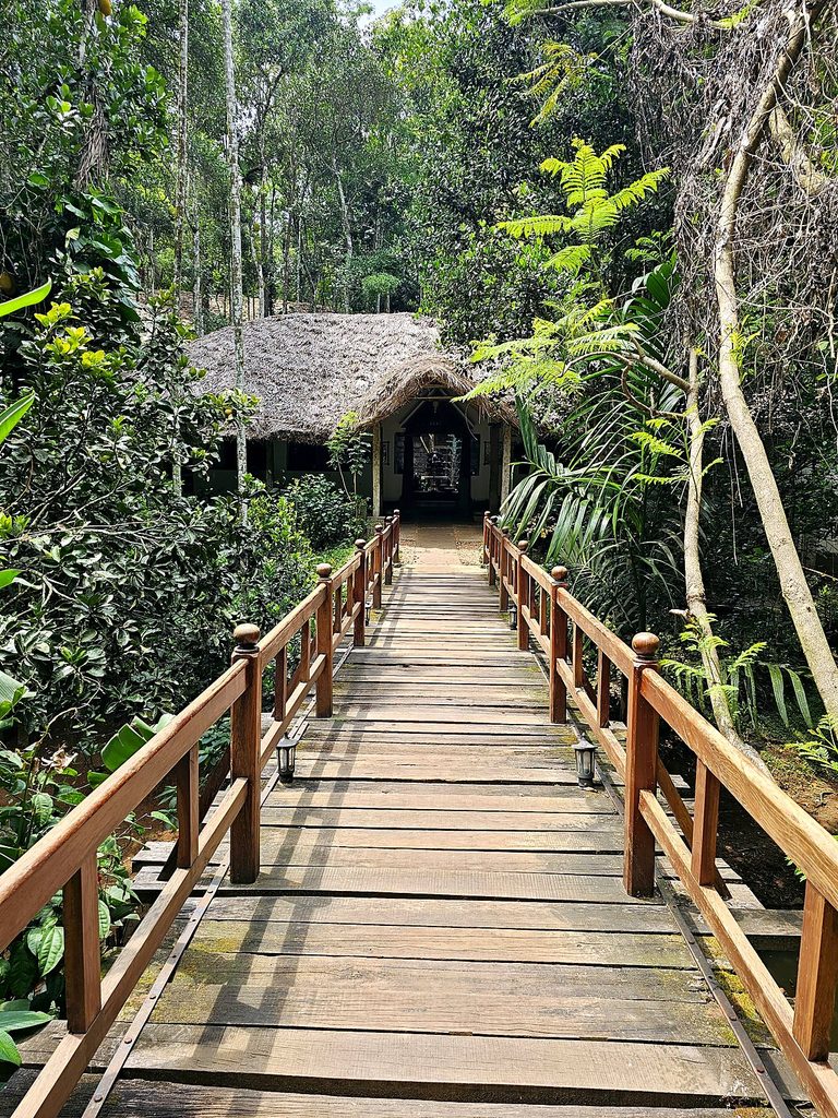 Amritara Shalimar Spice Garden Resort & Spa, Thekkady: A Solo Traveller Review