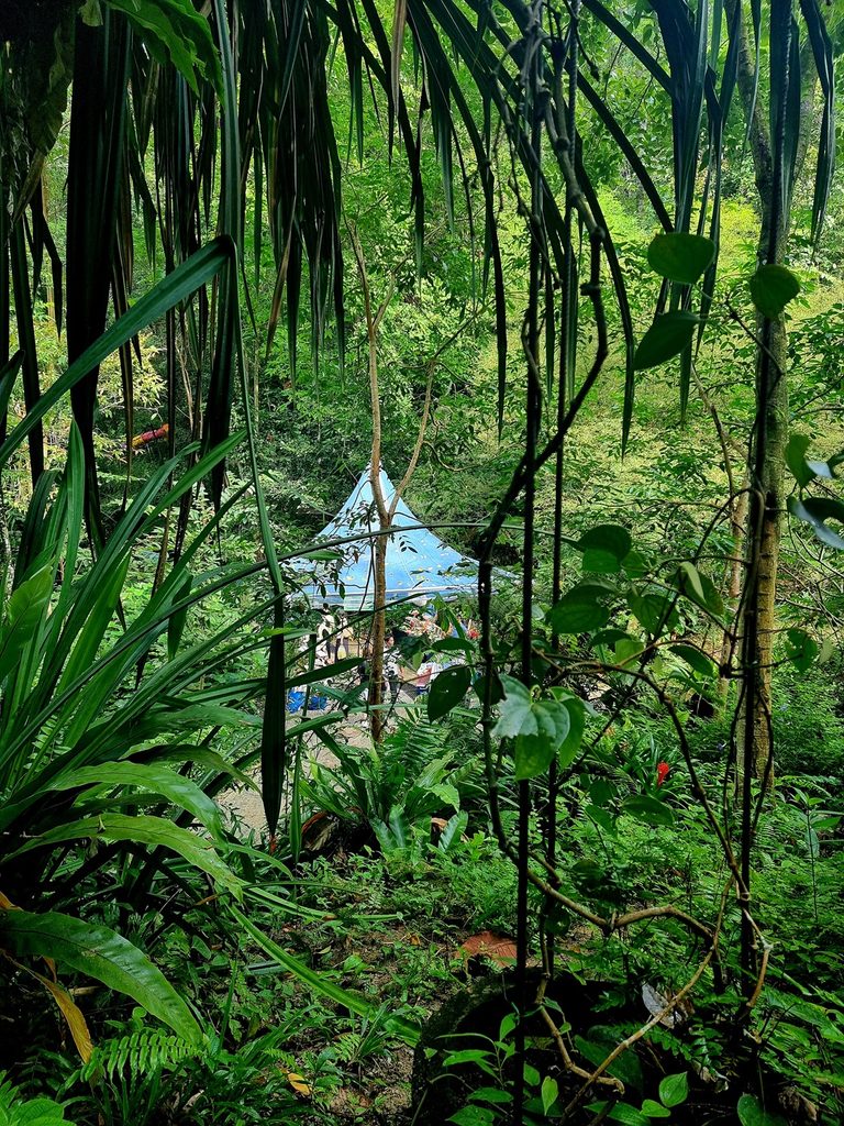 green trees of the Penang Spice Garden