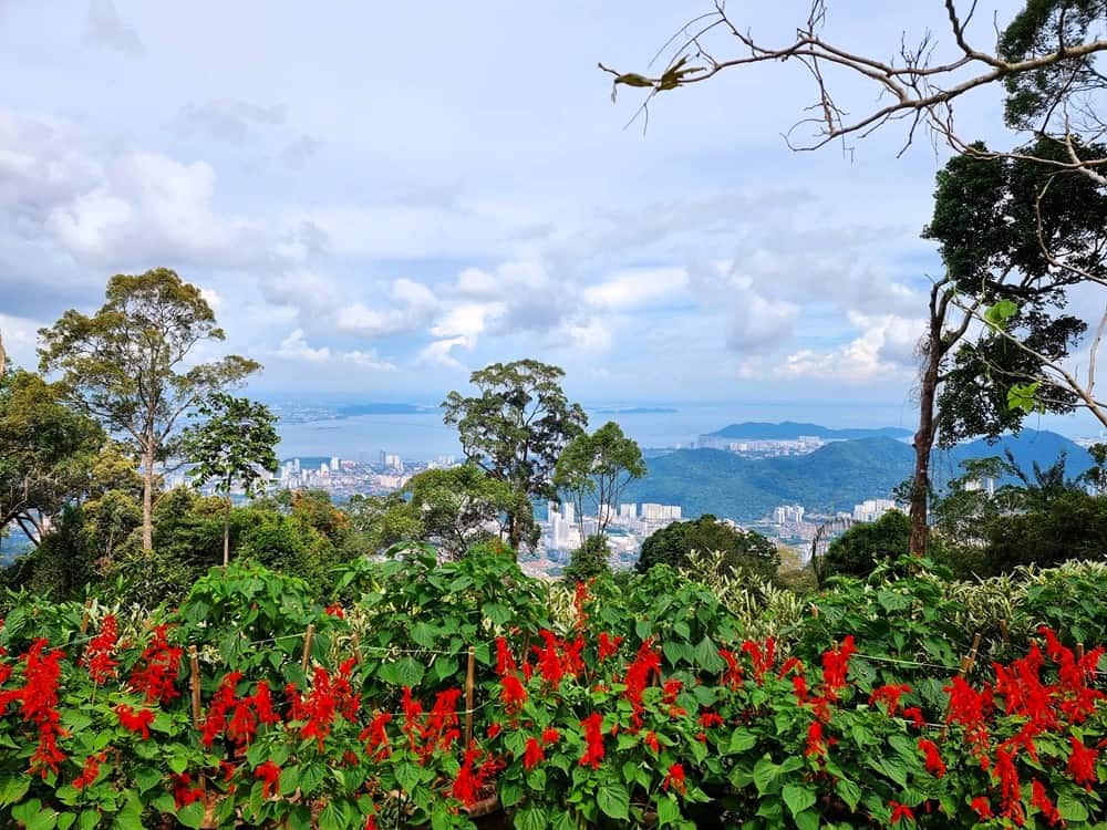 a view from Penang Hill with George Town in the distance