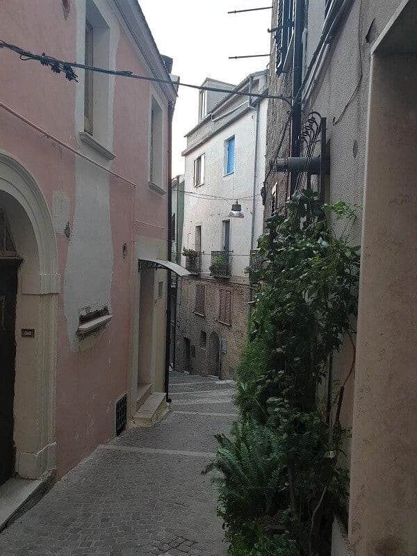 An old cobbled alley with houses rising both sides and plants in teh foreground