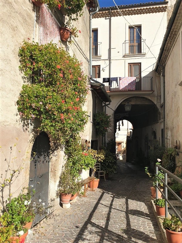 A cobbled street lined with flower pots, geraniums and an arch way with washing hanging over a rail