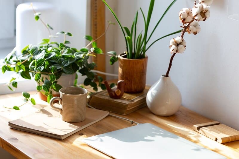 A relaxing work table with green plants and a closed laptop