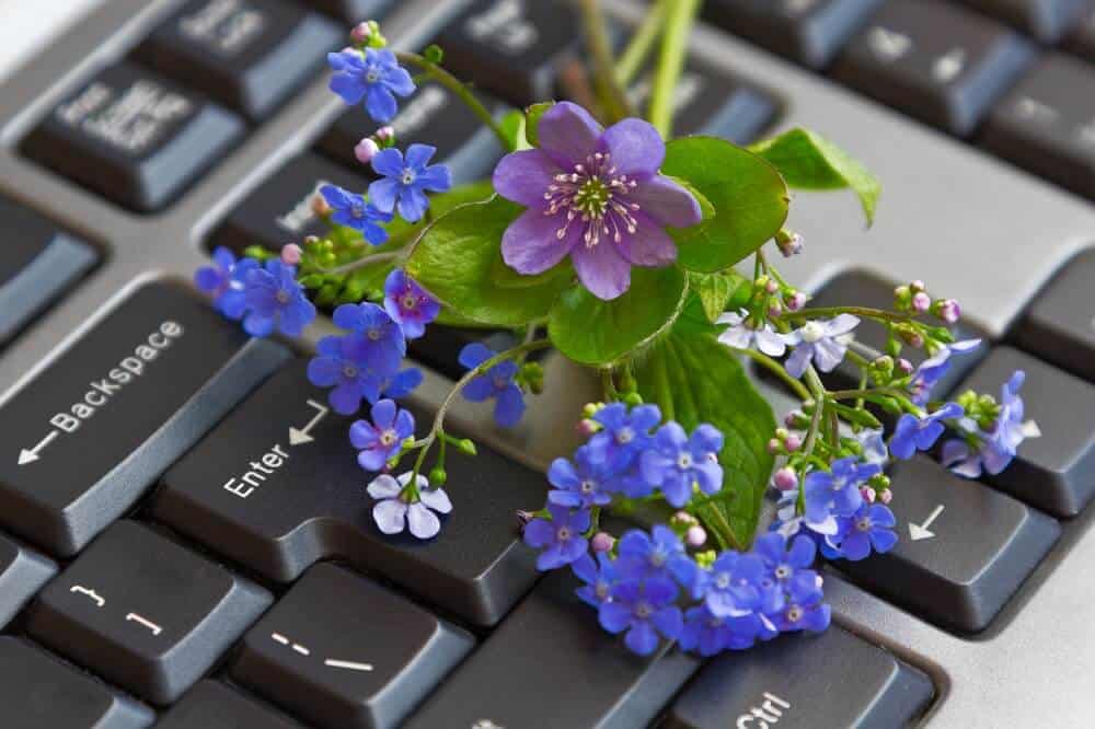 A computer keyboard with blue flowers sprinkled over