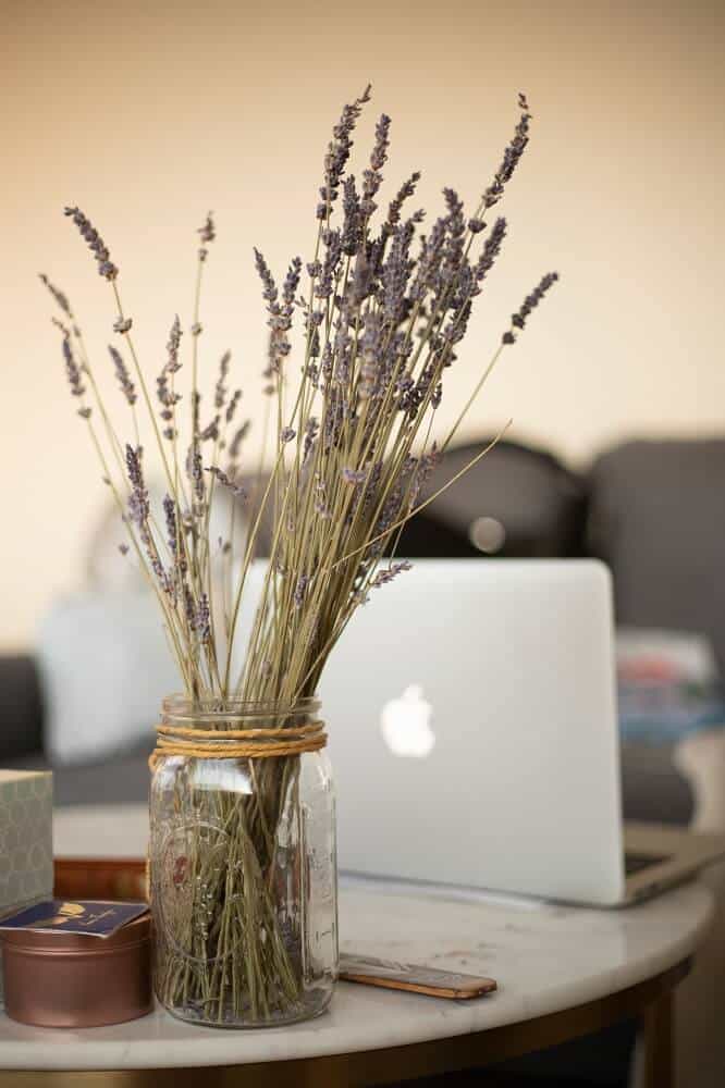 An image of dried lavender with a laptop