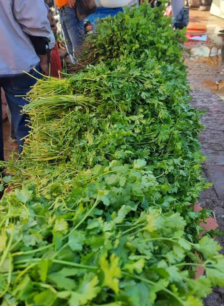 Fresh herbs in Taroudant Sunday souk